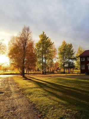 Bed & Breakfast Willa Armas - 4