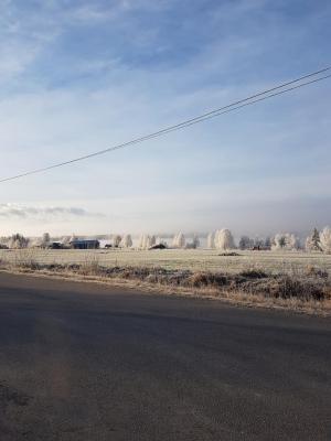 Bed & Breakfast Willa Armas - 1