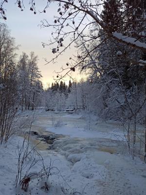 Sunnemoslantliv B&B - 5