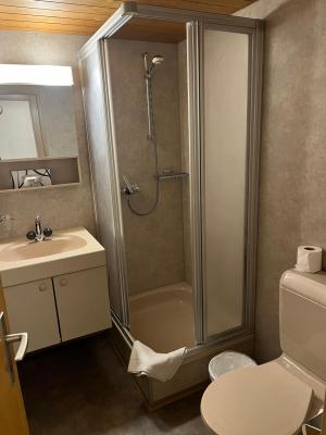 Historic Hotel Steinbock - 7