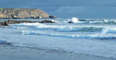 Cadgwith Cove Inn - 2