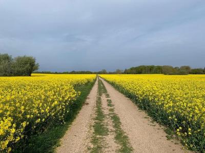 Zur Schleibrücke - 6