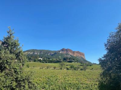 La Restanque Cassis - 6