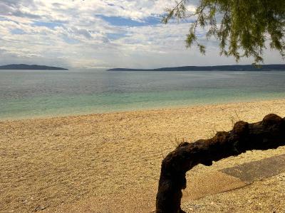 XIV Century Rooms - 4