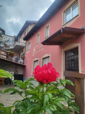 La Locanda del Maggiociondolo - 6