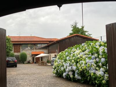 Bergui Guesthouse - Em Guimarães desde 2017 - 5