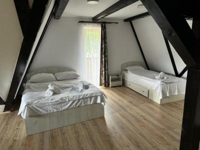 CONACUL VANATORULUI, Borlova - MUNTELE MIC - Enduro Base - 6