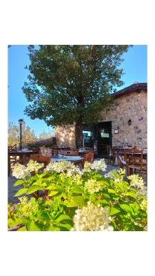 Il Sogno di Teresa - 3