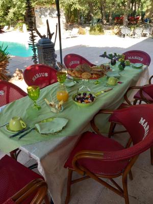 Les Lézards 2 au Soleil Draguignan - 4