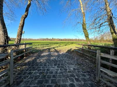 Le domaine de Brie - 2