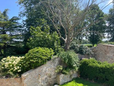Écrin de la baie Chambre Raphaël - 5