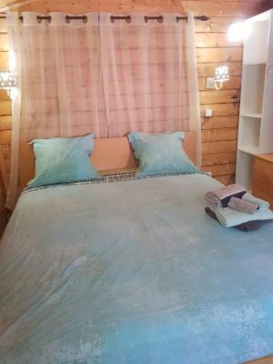 Les Lézards 2 au Soleil Draguignan - 6