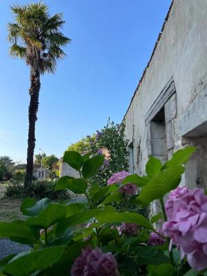 Domaine Manilea - Piscine - Proche Océan - 4