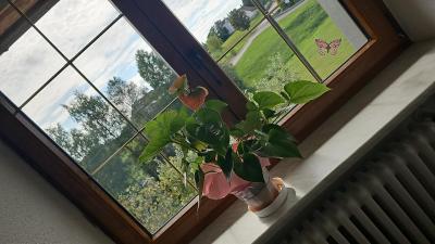 Gasthof zum Hirschen - 2