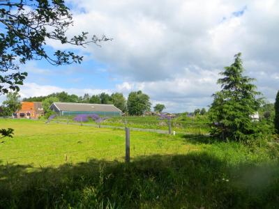 The Black Horse B&B & More - 2