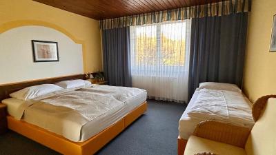 Pension Edelweiß Mitterberg - 6