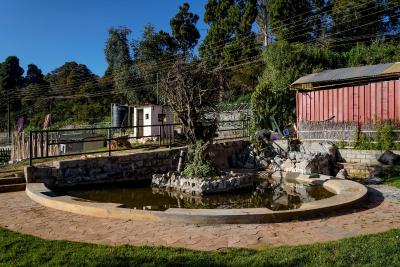 Virgin Valley Leisure Resort - 5