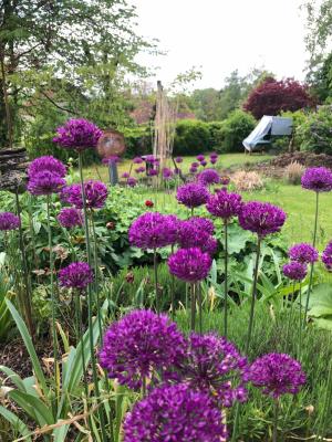 Gästehaus Natur - 5