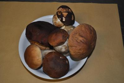 Hotel Ristorante Franca - 7