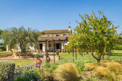 Il casale degli olivi - 5