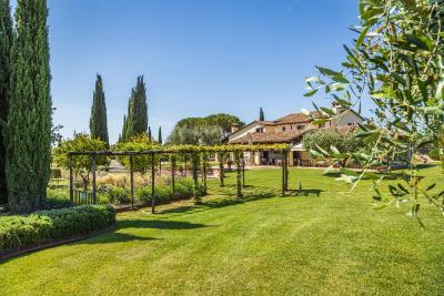 Il casale degli olivi - 2