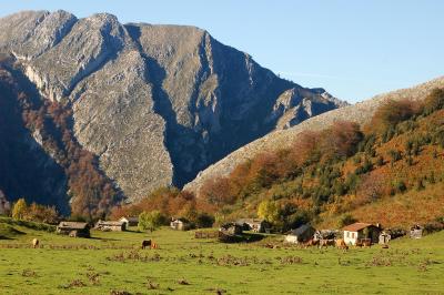 Apartamentos rurales el capricho de carrio - 5