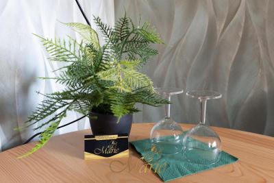 Gästehaus Marie - 7