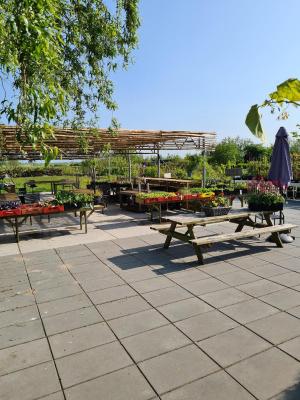 B&B Aan de Fjildwei - 4