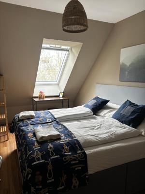 Nest Natur Hostel - 7