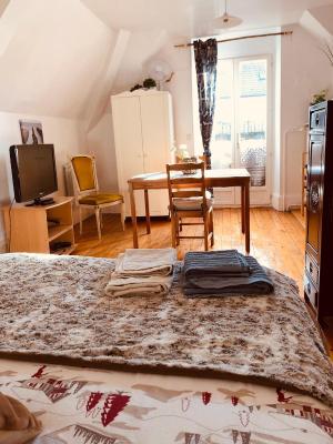 LA ROSERAIE DE ST REMY - 4