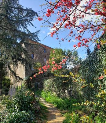 Le Cagnel - 6