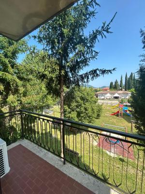 Il Tulipano sul Lago - 6