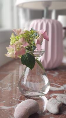 Ronehamn Bed and Breakfast - 4