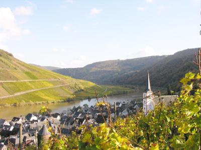 Weingut & Gästehaus Mees - 7