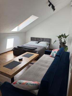 Apartament Noclegi Tokarnia Duża 126 - 1
