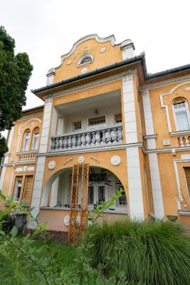 Romantic Villa - Pápa - 5