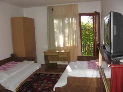 Guest house Pribojska Banja - 5