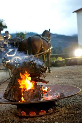 Hotel Rural Casa dos Viscondes da Varzea - 5