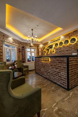 Family Istanbul Hotel - 3