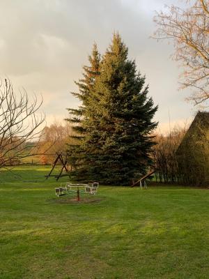 Agroturystyka Kozak - 7