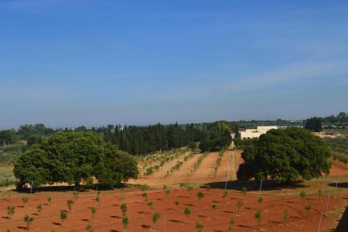 Landskap semula jadi dekat dengan penginapan di ladang