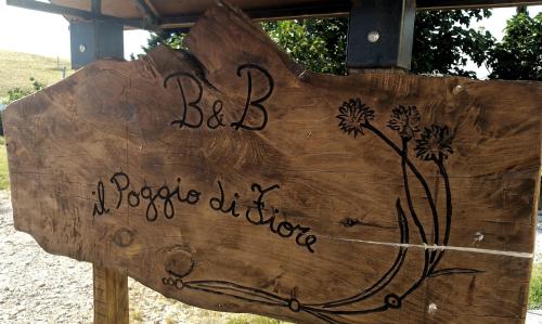 Gambar di galeri bagi B&B Il Poggio di Fiore di Castellina Marittima