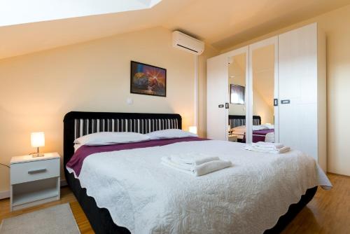Sunlit Comfort Apartments