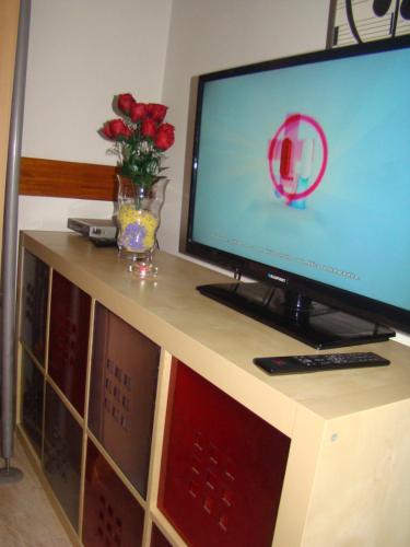 a computer monitor on a desk with a vase of roses at Tejo Apartment in Lisbon
