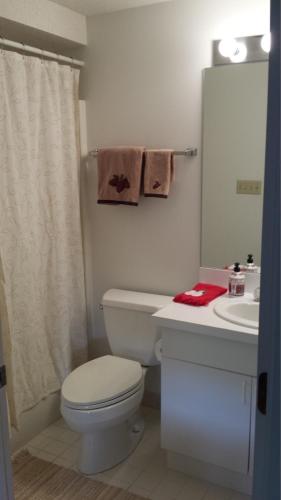 a white bathroom with a toilet and a sink at Lovely Townhouse with Views in Lincoln