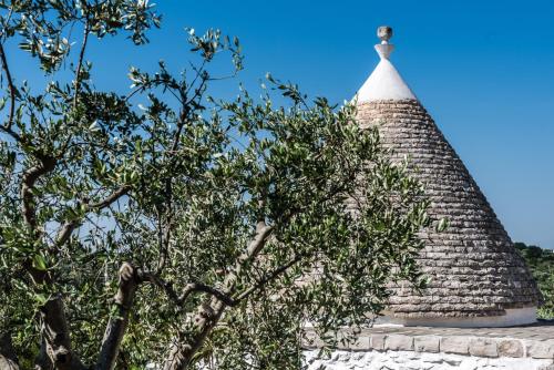 a church steeple with a tree in the foreground at Trullo Picchiagiuda in Ostuni