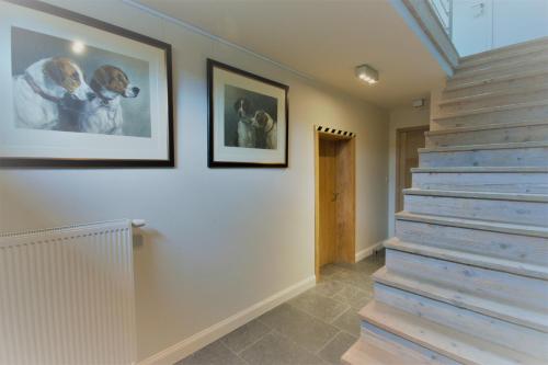 Gambar di galeri bagi B&B Crijbohoeve di Zutendaal
