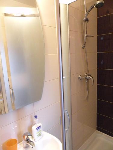 a bathroom with a shower and a sink and a mirror at GrandVille Apartments in Bucharest