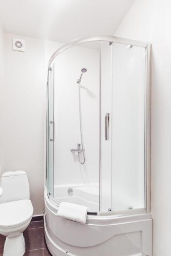 a bathroom with a shower and a toilet at Apartments near Deribasovskaya in Odesa