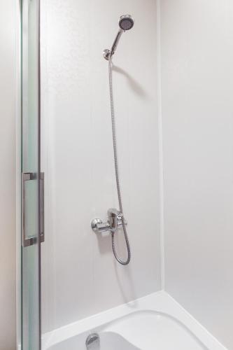 a shower with a shower head in a bathroom at Apartments near Deribasovskaya in Odesa